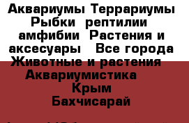 Аквариумы.Террариумы.Рыбки, рептилии, амфибии. Растения и аксесуары - Все города Животные и растения » Аквариумистика   . Крым,Бахчисарай